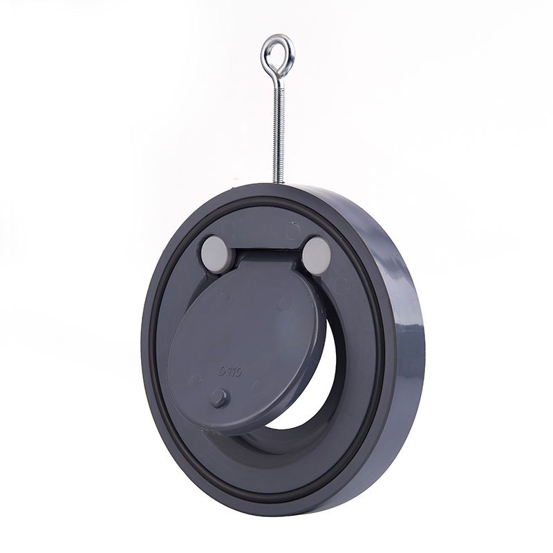 Wafer check valve