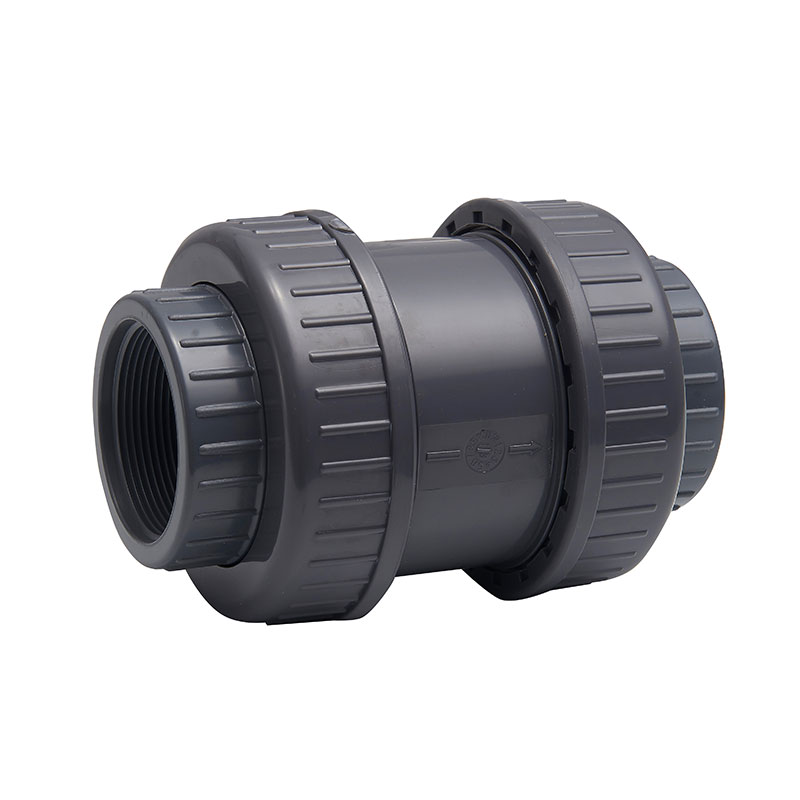 Spring check valve